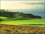 Go Lanai Golf