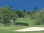 Grand Wailea Golf